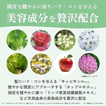 .新品未開封harukurokami スカルプ グリーン400ml×3点セット 楽天市場】20％OFF【haru 公式】ハル｜ haruシャンプー ハル